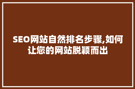 SEO网站自然排名步骤,如何让您的网站脱颖而出