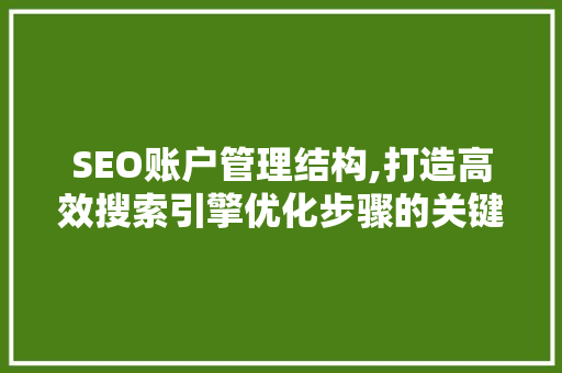 SEO账户管理结构,打造高效搜索引擎优化步骤的关键