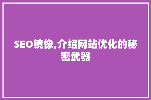 SEO镜像,介绍网站优化的秘密武器