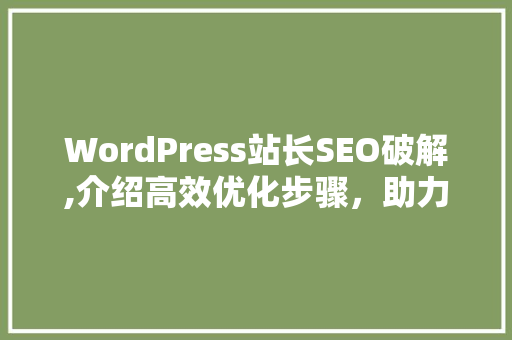 WordPress站长SEO破解,介绍高效优化步骤，助力网站流量翻倍！