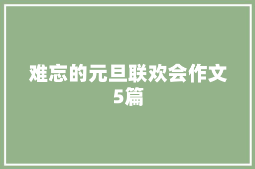 单反入门相机选购指南,SEO优化与摄影初学者必备