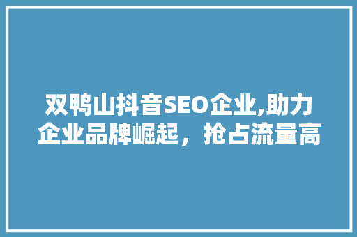 双鸭山抖音SEO企业,助力企业品牌崛起，抢占流量高地