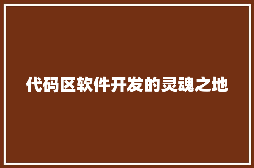 代码区软件开发的灵魂之地