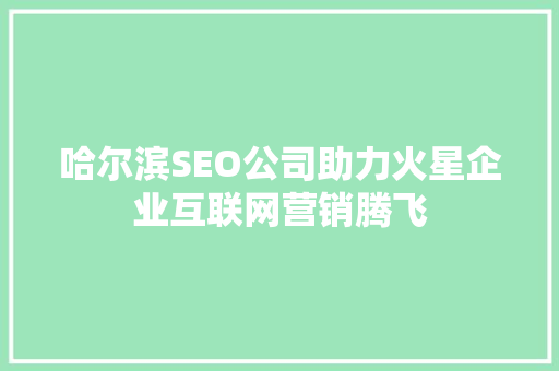 哈尔滨SEO公司助力火星企业互联网营销腾飞  第1张
