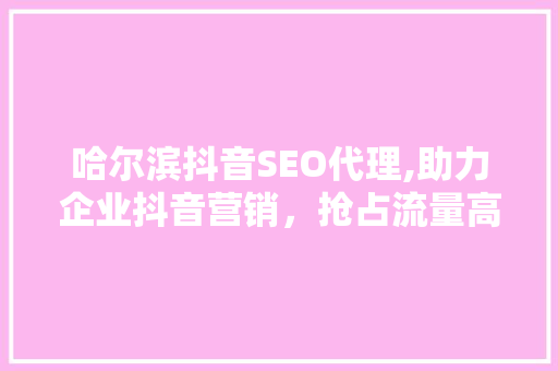 哈尔滨抖音SEO代理,助力企业抖音营销，抢占流量高地