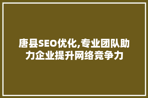 唐县SEO优化,专业团队助力企业提升网络竞争力