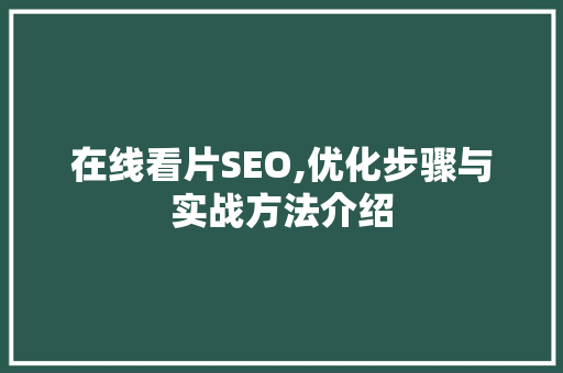 在线看片SEO,优化步骤与实战方法介绍