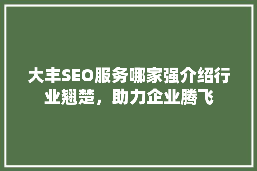 大丰SEO服务哪家强介绍行业翘楚，助力企业腾飞  第1张