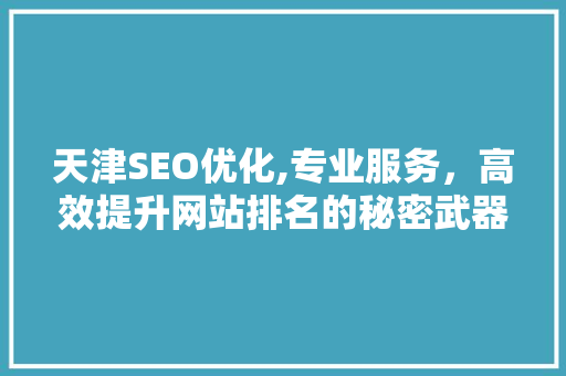 天津SEO优化,专业服务，高效提升网站排名的秘密武器