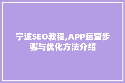 宁波SEO教程,APP运营步骤与优化方法介绍