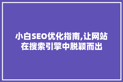 小白SEO优化指南,让网站在搜索引擎中脱颖而出