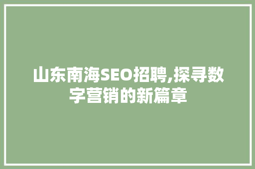 山东南海SEO招聘,探寻数字营销的新篇章
