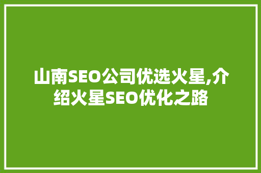 山南SEO公司优选火星,介绍火星SEO优化之路