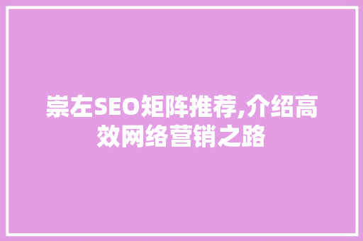 崇左SEO矩阵推荐,介绍高效网络营销之路