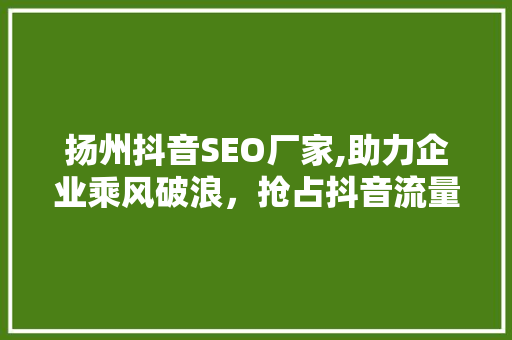 扬州抖音SEO厂家,助力企业乘风破浪，抢占抖音流量高地  第1张