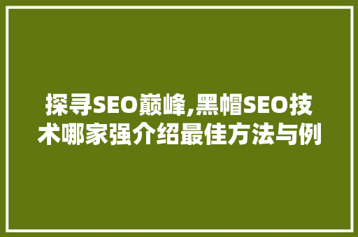 探寻SEO巅峰,黑帽SEO技术哪家强介绍最佳方法与例子分析