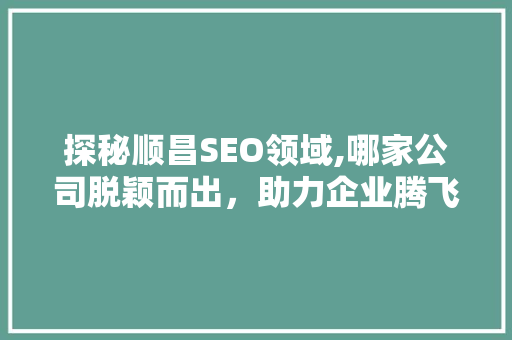 探秘顺昌SEO领域,哪家公司脱颖而出，助力企业腾飞