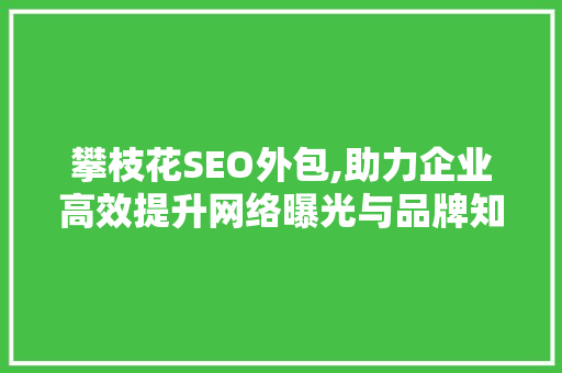 攀枝花SEO外包,助力企业高效提升网络曝光与品牌知名度