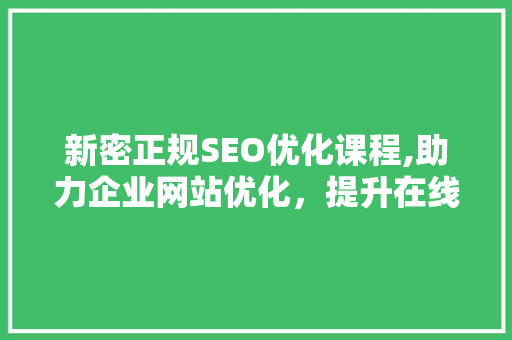 新密正规SEO优化课程,助力企业网站优化，提升在线竞争力