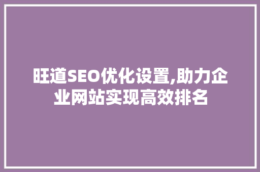 旺道SEO优化设置,助力企业网站实现高效排名