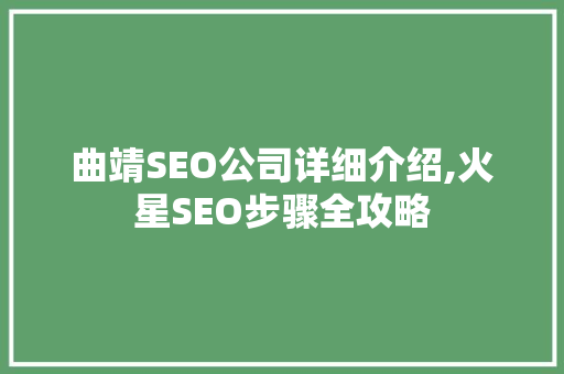 曲靖SEO公司详细介绍,火星SEO步骤全攻略