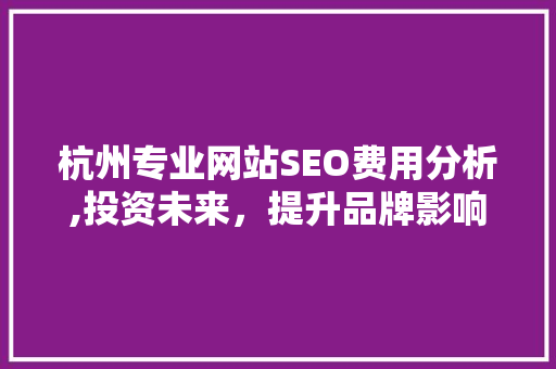 杭州专业网站SEO费用分析,投资未来，提升品牌影响力