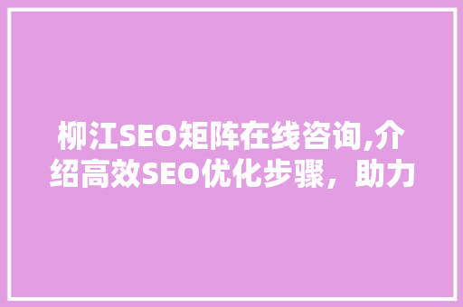 柳江SEO矩阵在线咨询,介绍高效SEO优化步骤，助力企业腾飞