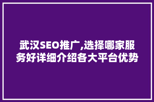 武汉SEO推广,选择哪家服务好详细介绍各大平台优势与劣势