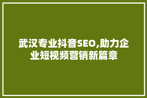 武汉专业抖音SEO,助力企业短视频营销新篇章