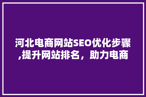 河北电商网站SEO优化步骤,提升网站排名，助力电商发展