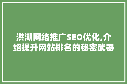 洪湖网络推广SEO优化,介绍提升网站排名的秘密武器