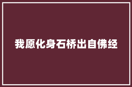 济源抖音SEO公司助力企业腾飞，介绍短视频营销新趋势