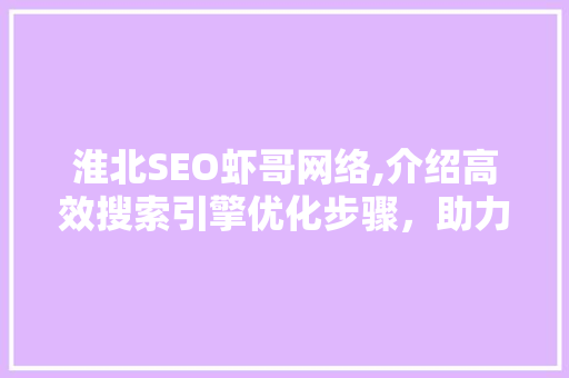 淮北SEO虾哥网络,介绍高效搜索引擎优化步骤，助力企业腾飞