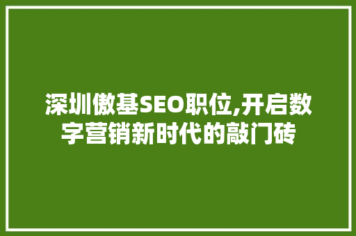深圳傲基SEO职位,开启数字营销新时代的敲门砖