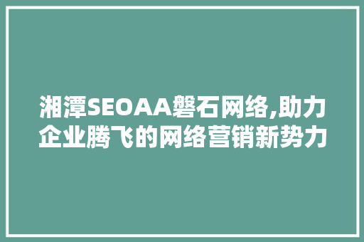 湘潭SEOAA磐石网络,助力企业腾飞的网络营销新势力