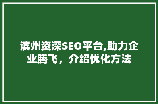 滨州资深SEO平台,助力企业腾飞，介绍优化方法