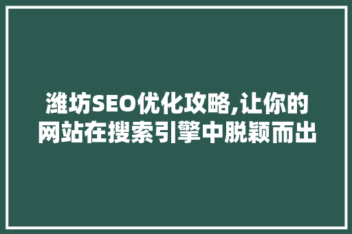 潍坊SEO优化攻略,让你的网站在搜索引擎中脱颖而出