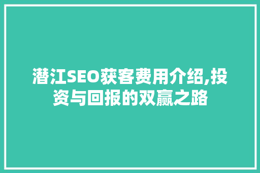 潜江SEO获客费用介绍,投资与回报的双赢之路