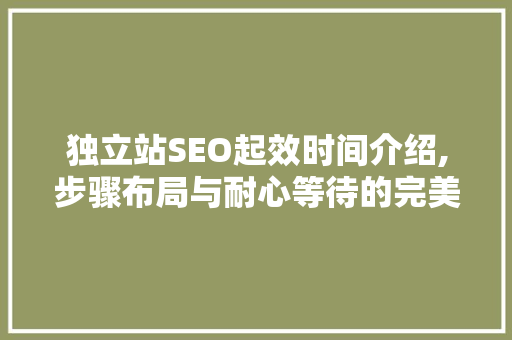 独立站SEO起效时间介绍,步骤布局与耐心等待的完美结合