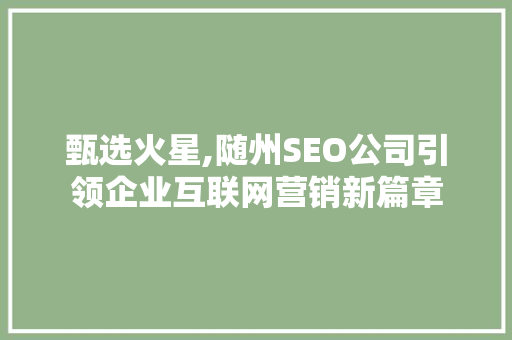 甄选火星,随州SEO公司引领企业互联网营销新篇章