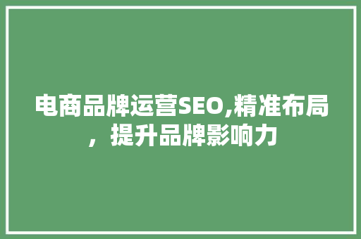 电商品牌运营SEO,精准布局，提升品牌影响力