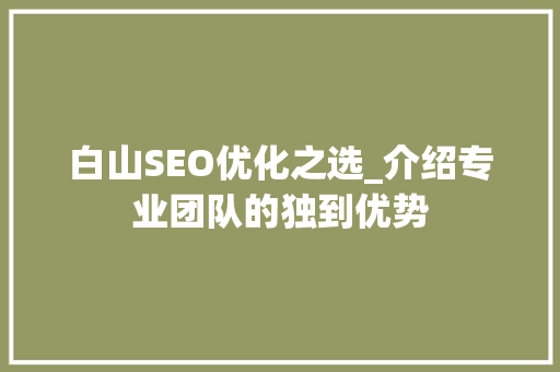 白山SEO优化之选_介绍专业团队的独到优势