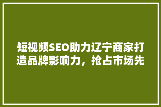 短视频SEO助力辽宁商家打造品牌影响力，抢占市场先机