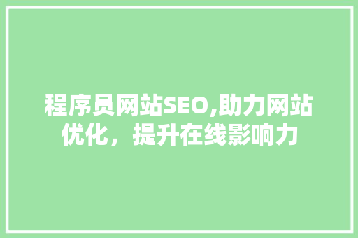 程序员网站SEO,助力网站优化，提升在线影响力