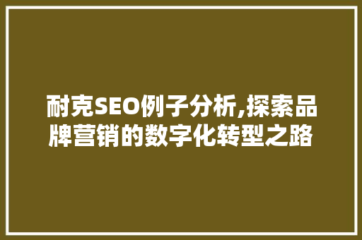 耐克SEO例子分析,探索品牌营销的数字化转型之路