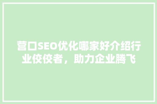 营口SEO优化哪家好介绍行业佼佼者，助力企业腾飞