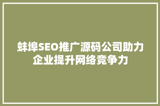 蚌埠SEO推广源码公司助力企业提升网络竞争力