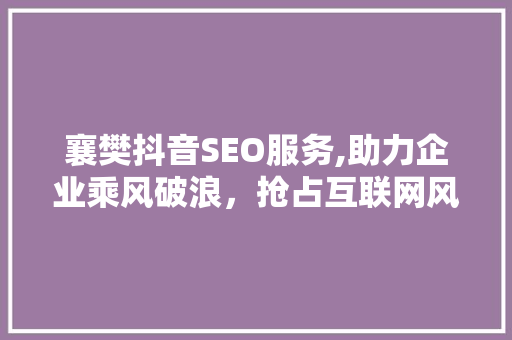 襄樊抖音SEO服务,助力企业乘风破浪，抢占互联网风口