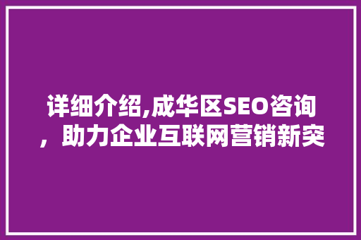 详细介绍,成华区SEO咨询，助力企业互联网营销新突破