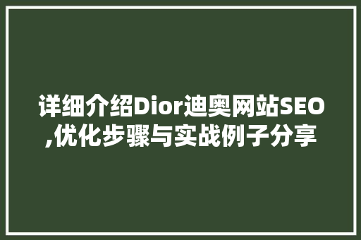 详细介绍Dior迪奥网站SEO,优化步骤与实战例子分享
